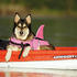 Nobby Hundeschwimmweste Sharki M pink