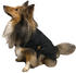 Fashion Dog Hunde-Regenmantel mit Fleecefutter (1105)