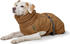 HUNTER Hundemantel Paxson 45cm karamell