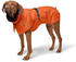 HUNTER Hundemantel Nordby 55cm orange