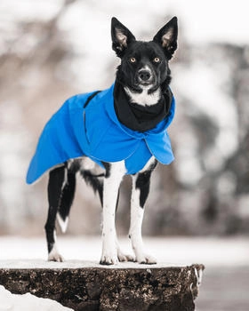 Paikka Visibility Hundewintermantel 25cm blau/indigo
