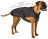 Fashion Dog Steppmantel Hund beige 51cm (11851BE)
