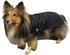 Fashion Dog Hunde-Regenmantel mit Fleecefutter (1105)