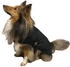 schwarz 65cm (11065N): Fashion Dog Hunde-Regenmantel mit Fleecefutter (1105)