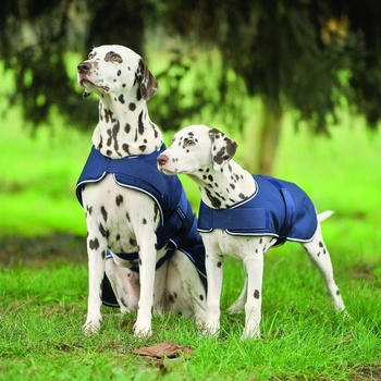 Waldhausen Hunde Regendecke marine 40