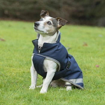 Bucas Freedom Dog Rug 50g Navy/Silver blau 65