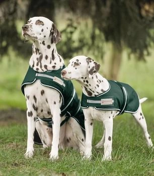 Waldhausen Hunde Regendecke tannengrün 50