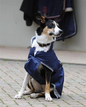 Bucas Freedom Dog Rug 50g Navy/Silver blau 75