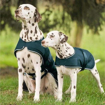 Waldhausen Hunde Regendecke tannengrün 60