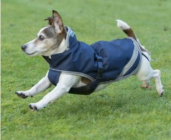 Bucas Freedom Dog Rug 50g Navy/Silver blau 55