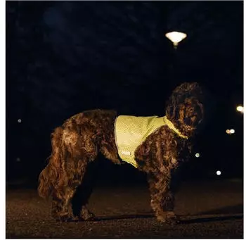 Beeztees Safety Gear Sicherheitsweste Ava reflektierend Gr. M