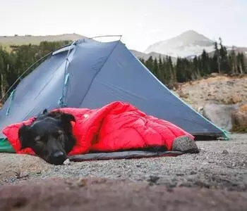 Ruffwear Palisades Sleep Poncho Red Currant XS (43-56 cm)