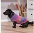 Wolters Strickpullover Rainbow 20 cm