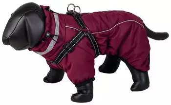 Nobby Hundemantel Elor 2 in 1 bordeaux Gr. 48 cm