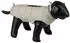 Nobby Hundemantel Mirna beige Gr. 26 cm