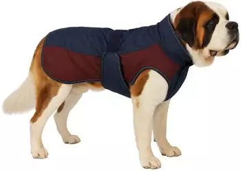 Flamingo Wintermantel Eisberg dunkelblau/bordeaux R&uuml;ckenl&auml;nge: 80 cm