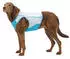 Ruffwear Swamp Cooler Zip Vest Biolumin Blue Gr. XL