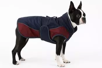 Flamingo Wintermantel Eisberg dunkelblau/bordeaux R&uuml;ckenl&auml;nge: 40 cm