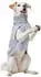 HUNTER Dog Sweater Birka grey