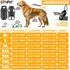 Lovpet Hundejacke mit Geschirr, gefüttert, wasserdicht, anthrazit, 5XL