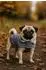 Nobby Hundemantel Sela grau (64807)