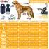 Lovpet Hundejacke mit Geschirr, gefüttert, wasserdicht, navyblau, 5XL