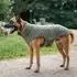 Wolters Dogz-Wear Fleecejacke Hund olive meliert, 22cm (55701)