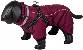 Nobby Elor 2-in-1 Hundemantel bordeaux, 23cm (53324)