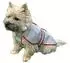 M (46 cm): Trixie Regenmantel Tarbes