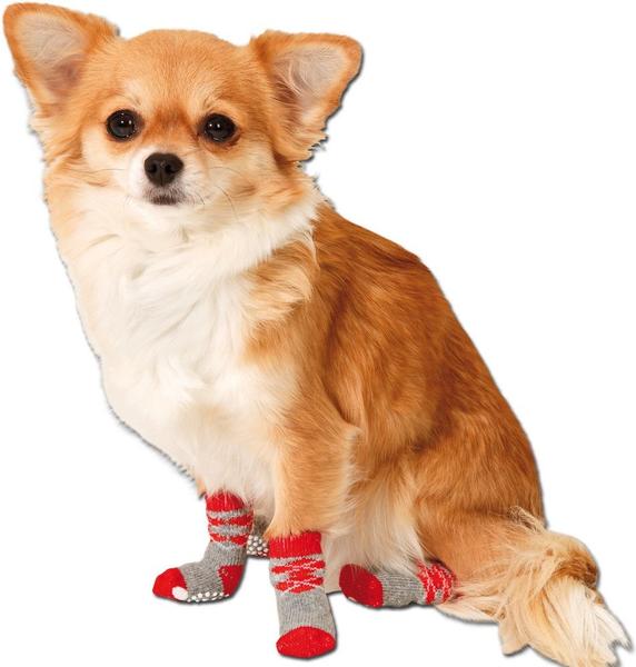 Karlie Doggy Socks M