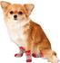 Karlie Doggy Socks L