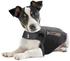 Thundershirt für Hunde