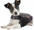 Thundershirt für Hunde