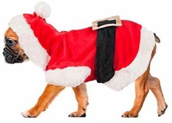 Karlie Weihnachtskostüm 20 cm