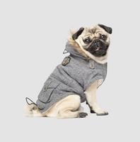 Canada Pooch Hundemantel, Alaskan Army Parka, Winterparka f&uuml;r Hunde, Kastanienbraun,