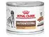 Royal Canin Veterinary GASTROINTESTINAL HIGH FIBRE Hund Mousse