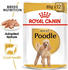 Royal Canin POODLE ADULT Mousse Nassfutter 85g
