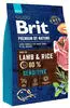 Brit Hundefutter