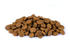 Christopherus Vegetarian Erbsen Tapioka mit Kürbis Hundetrockenfutter 1kg