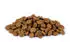 Christopherus Vegetarian Erbsen Tapioka mit Kürbis Hundetrockenfutter 8kg
