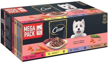 hundebetten für draußen Das Outdoor-Hundebett – robust und komfortabel für deinen Vierbeiner! main image 0