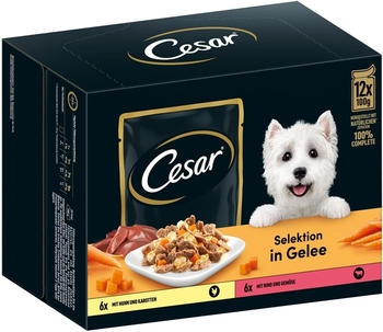 hersteller hundefutter Rind mit Skartoffel, Apfel und Brokkoli (500g) gefroren