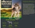 Dehner Wild Nature Bergweide getreidefrei / zuckerfrei Pferd 6 x 800 g