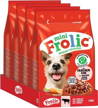 trinkflasche hund edelstahl KONG H2O Trinkflasche für Hunde – Schwarz