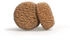 Green Petfood Dog Red Lentil 10 kg