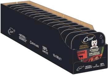 Cesar Goodness Terrine mit Rind getreidefrei 16x100g