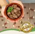 Lyra Pet Lecker.Pet Josie's 100 % Muskelfleisch Rind Nassfutter 18x400 g