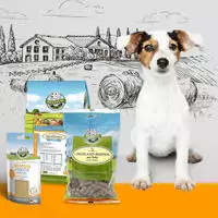 Bellfor Welpenfutter Set f&uuml;r kleine Rassen 2,750 g 2750 g