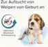 Beaphar Lactol Aufzucht-Milch für Hunde 250 g