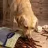 Lyra Pet Rinderdörrfleisch Sticks 1 kg